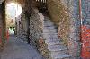 colleone