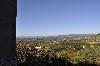 montecchio