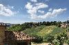 ripalvella