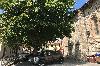 ripalvella