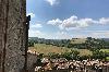 rotecastello