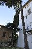 trevi